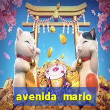 avenida mario andrade 563