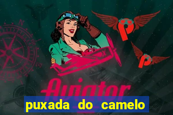 puxada do camelo jogo do bicho