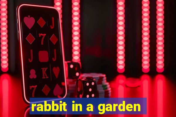 rabbit in a garden