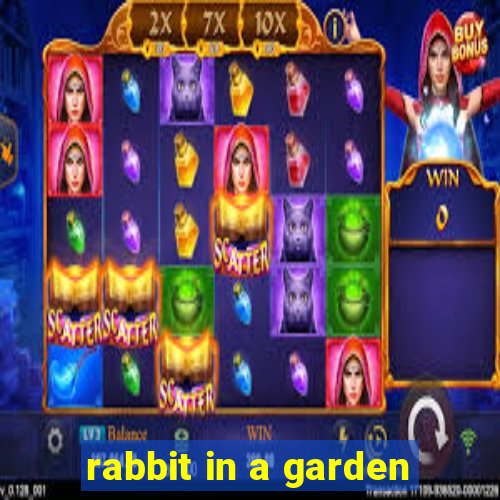 rabbit in a garden