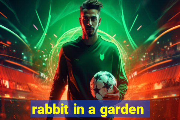 rabbit in a garden