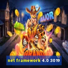 net framework 4.0 3019