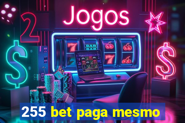 255 bet paga mesmo