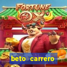 beto carrero cidades proximas