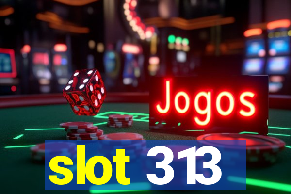 slot 313