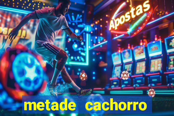 metade cachorro metade gato