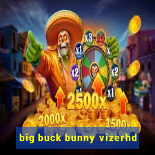 big buck bunny vizerhd