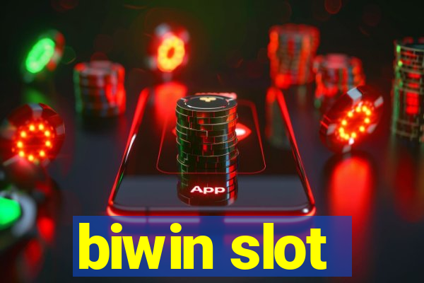 biwin slot