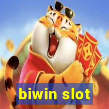 biwin slot