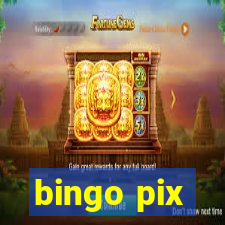 bingo pix