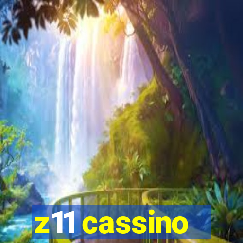 z11 cassino