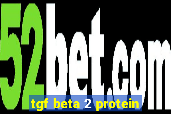 tgf beta 2 protein