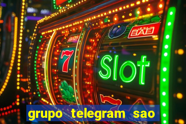 grupo telegram sao jose do rio preto