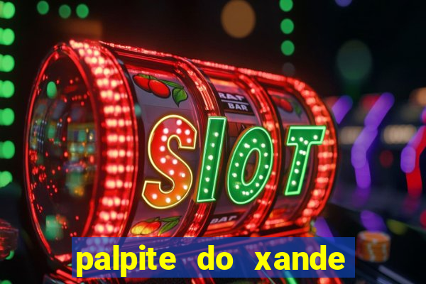 palpite do xande para hoje