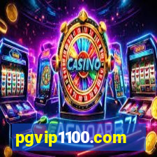 pgvip1100.com