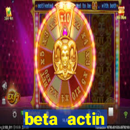 beta actin molecular weight