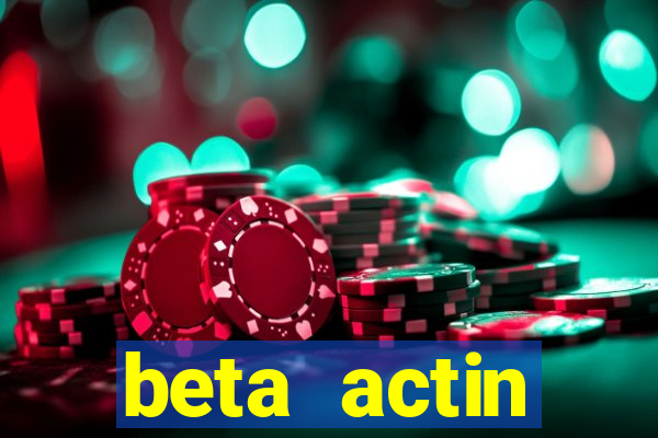 beta actin molecular weight