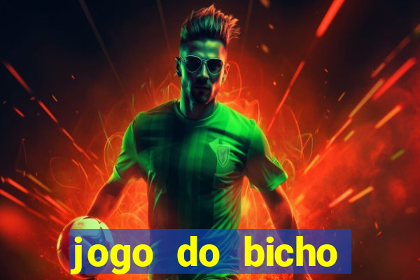 jogo do bicho crash bingo