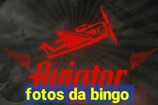 fotos da bingo