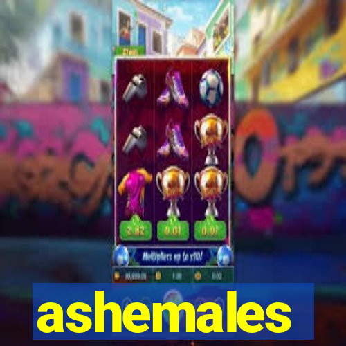 ashemales