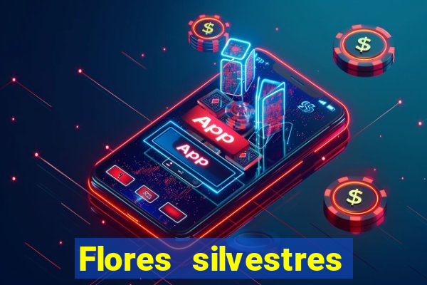 Flores silvestres brasileiras 25