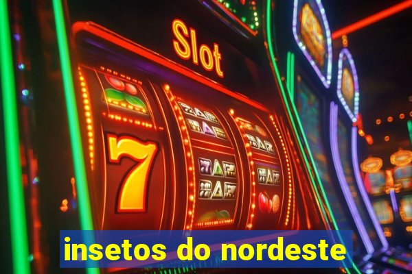 insetos do nordeste