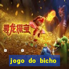 jogo do bicho banca ouro verde