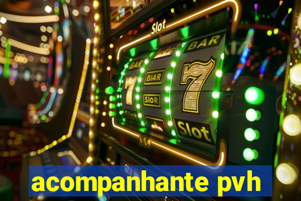 acompanhante pvh