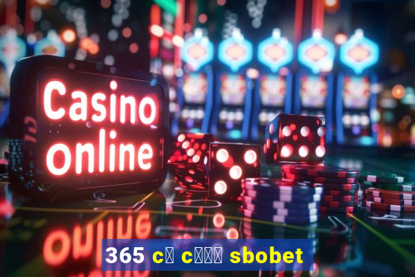 365 c谩 c瓢峄 sbobet