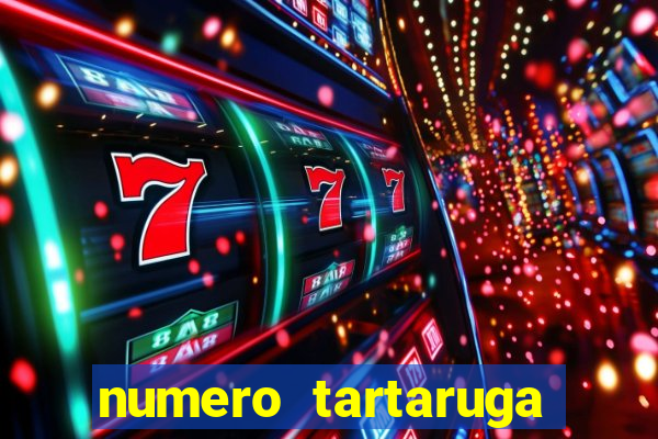 numero tartaruga jogo do bicho