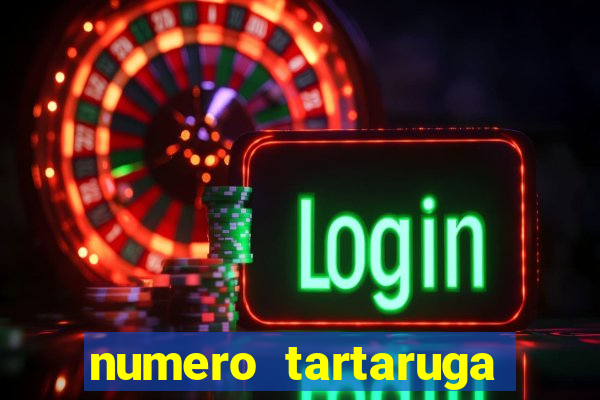 numero tartaruga jogo do bicho