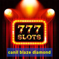 canil blaze diamond