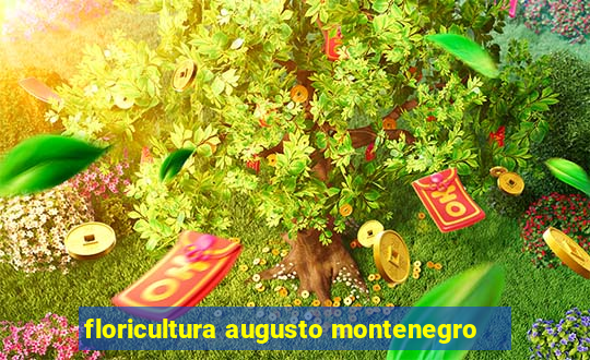 floricultura augusto montenegro