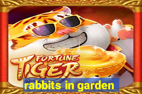 rabbits in garden