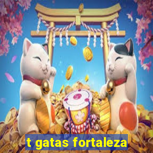 t gatas fortaleza