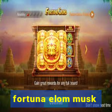 fortuna elom musk