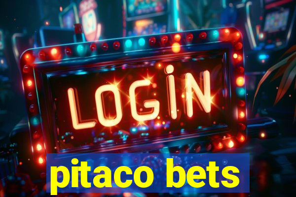 pitaco bets