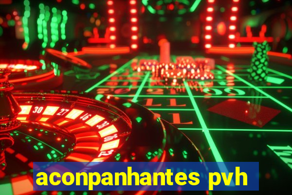 aconpanhantes pvh