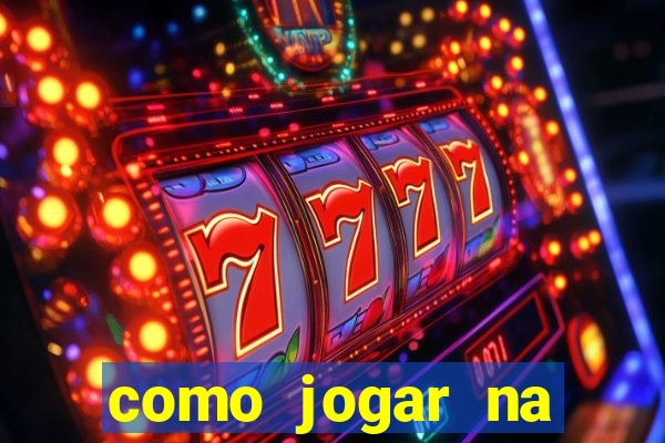 como jogar na lotinha do jogo do bicho