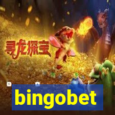 bingobet