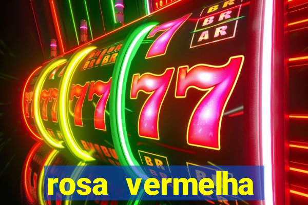 rosa vermelha (letra e cifra)