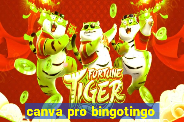 canva pro bingotingo