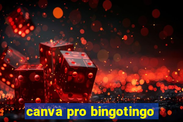 canva pro bingotingo