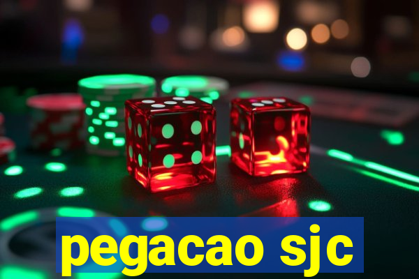 pegacao sjc