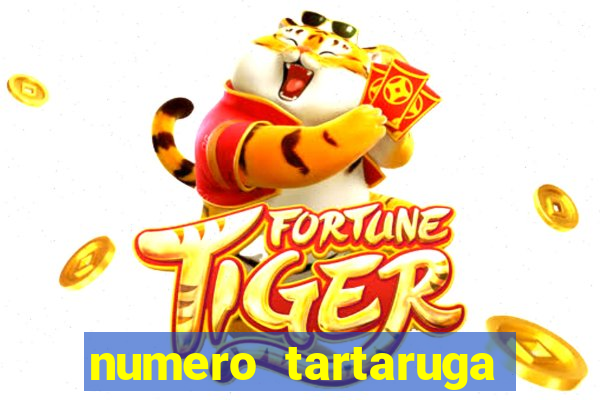 numero tartaruga jogo do bicho