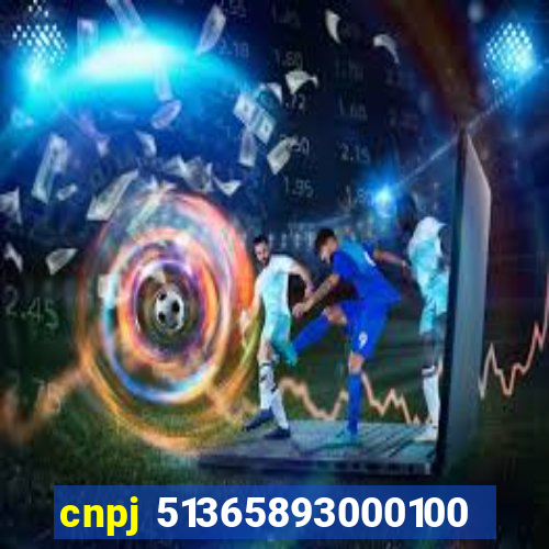 cnpj 51365893000100